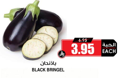 available at أسواق النخبة in مملكة العربية السعودية, السعودية, سعودية - المدينة المنورة
