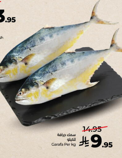 available at لولو هايبرماركت in مملكة العربية السعودية, السعودية, سعودية - خميس مشيط