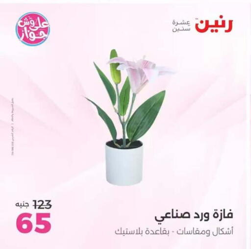 available at Raneen in Egypt - Cairo