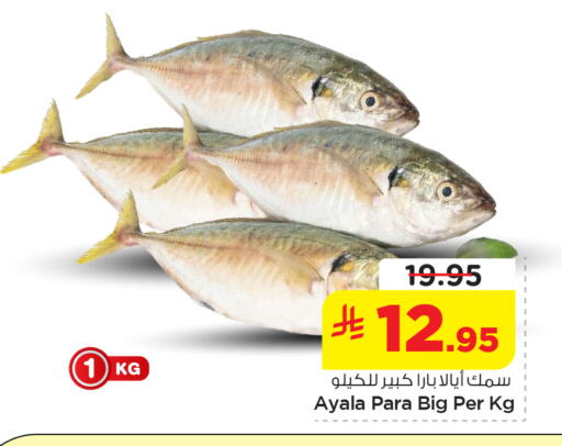 available at Nesto in KSA, Saudi Arabia, Saudi - Al Khobar