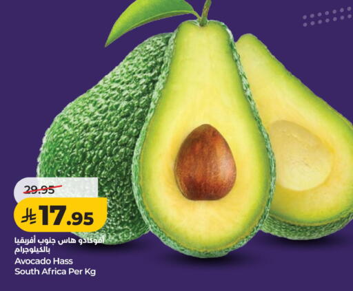 Avocado from South Africa available at لولو هايبرماركت in مملكة العربية السعودية, السعودية, سعودية - الخبر‎