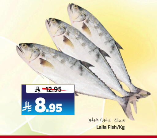 available at المدينة هايبرماركت in مملكة العربية السعودية, السعودية, سعودية - الرياض