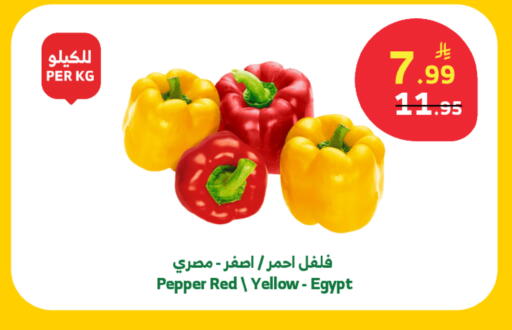 Pepper from Egypt available at الراية in مملكة العربية السعودية, السعودية, سعودية - خميس مشيط