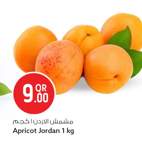 Apricot from Jordan available at سفاري هايبر ماركت in قطر - الدوحة