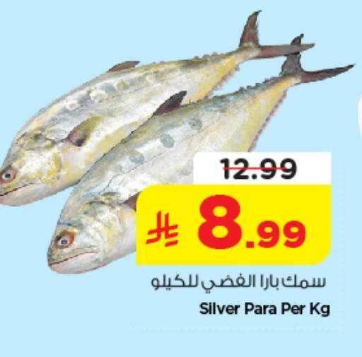 available at نستو in مملكة العربية السعودية, السعودية, سعودية - الرياض