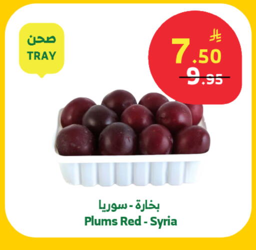 Plums from Syria available at Al Raya in KSA, Saudi Arabia, Saudi - Khamis Mushait