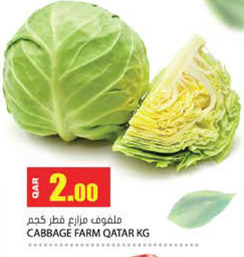 Cabbage from Qatar available at Grand Hypermarket in Qatar - Doha