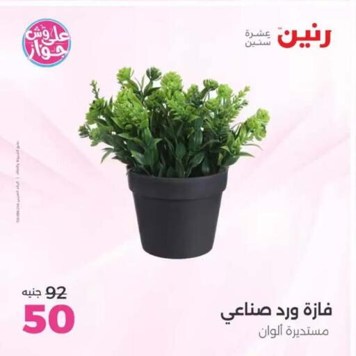 available at Raneen in Egypt - Cairo