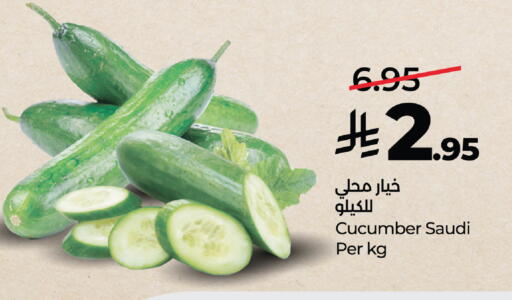 Cucumber from Saudi Arabia available at لولو هايبرماركت in مملكة العربية السعودية, السعودية, سعودية - خميس مشيط