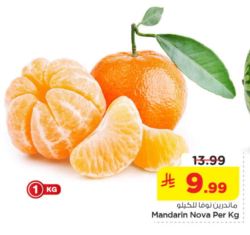 Mandarin available at نستو in مملكة العربية السعودية, السعودية, سعودية - الخبر‎