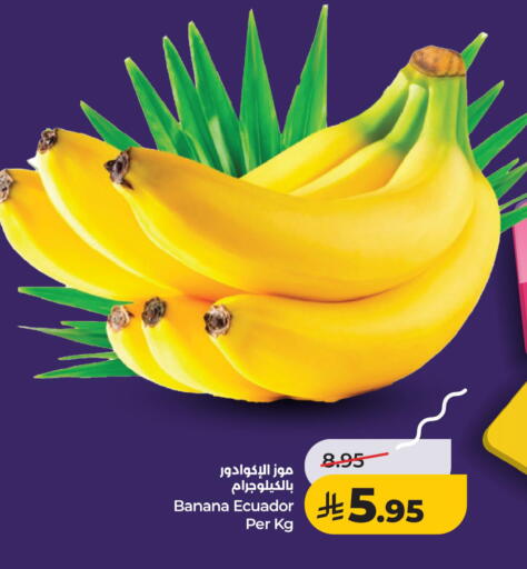 Banana from Ecuador available at لولو هايبرماركت in مملكة العربية السعودية, السعودية, سعودية - الخبر‎