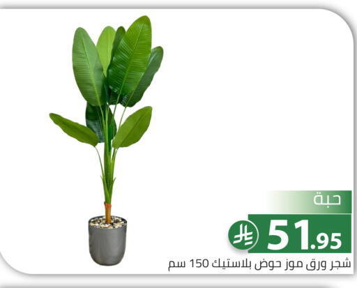 available at تخفيضات العائلة in مملكة العربية السعودية, السعودية, سعودية - الرياض