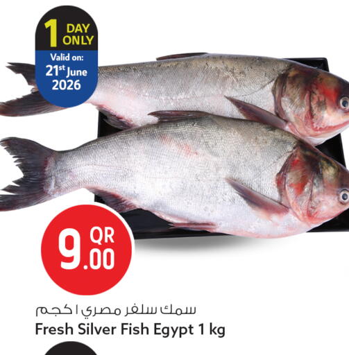 available at سفاري هايبر ماركت in قطر - أم صلال