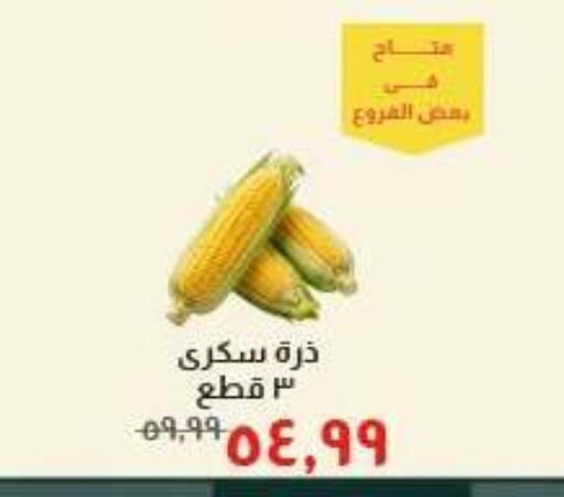 available at Kheir Zaman  in Egypt - Cairo