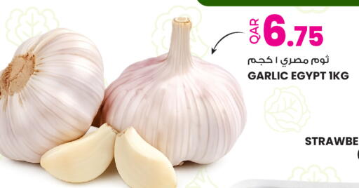 Garlic from Egypt available at أنصار جاليري in قطر - الشحانية