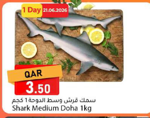 available at Dana Market in Qatar - Umm Salal