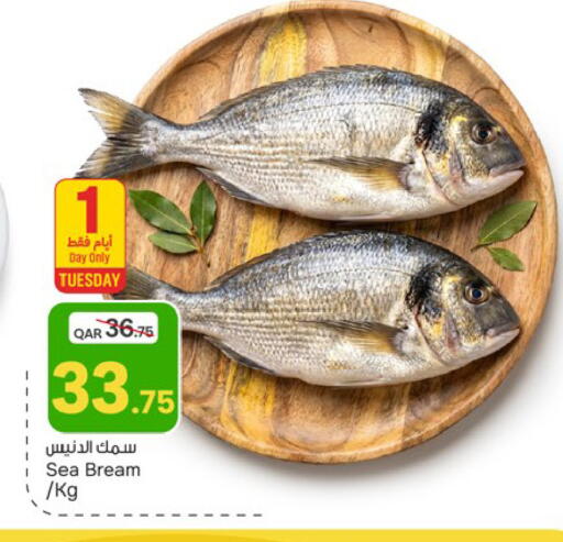 available at باريس هايبرماركت in قطر - الريان
