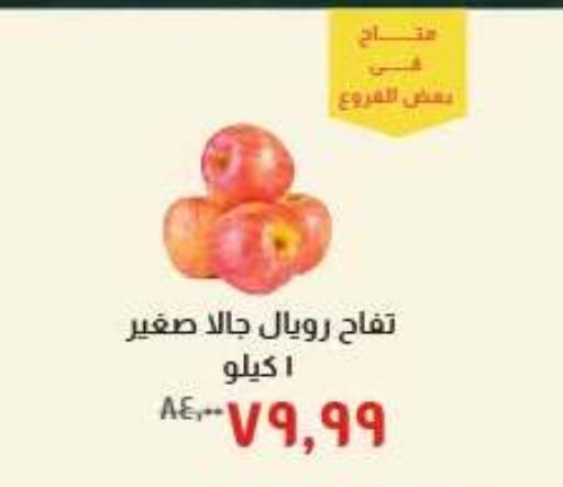 available at خير زمان in Egypt - القاهرة