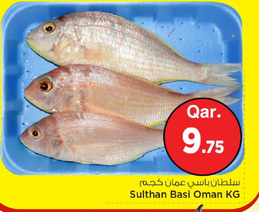 available at مارك & سيف in قطر - الشحانية