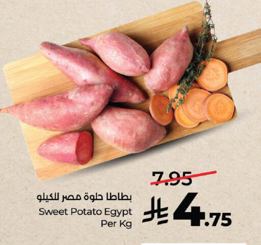 Sweet Potato from Egypt available at لولو هايبرماركت in مملكة العربية السعودية, السعودية, سعودية - الخرج