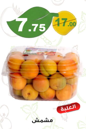 available at Smart Shopper in KSA, Saudi Arabia, Saudi - Khamis Mushait