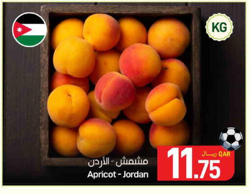 Apricot from Jordan available at SPAR in Qatar - Al Daayen