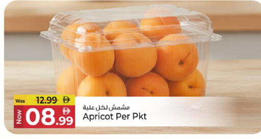 Apricot available at كنز هايبرماركت in الإمارات العربية المتحدة , الامارات - الشارقة / عجمان