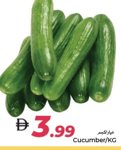 Cucumber available at  روابي ماركت عجمان in الإمارات العربية المتحدة , الامارات - الشارقة / عجمان