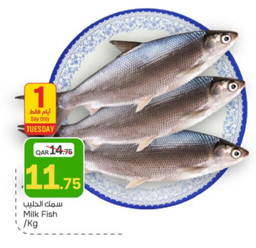 available at باريس هايبرماركت in قطر - الريان