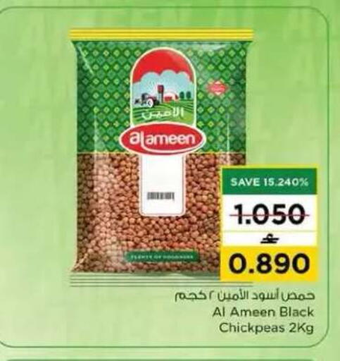 available at نستو هايبر ماركت in عُمان - مسقط‎