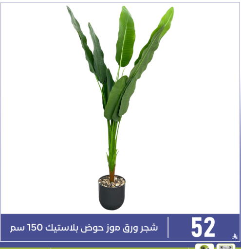 available at تخفيضات العائلة in مملكة العربية السعودية, السعودية, سعودية - المنطقة الشرقية