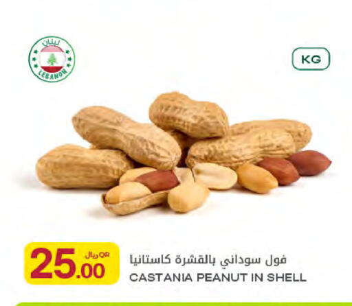 available at شركة الميرة للمواد الاستهلاكية in قطر - الريان