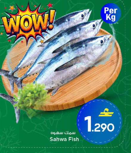 available at مارك & سايف in عُمان - مسقط‎
