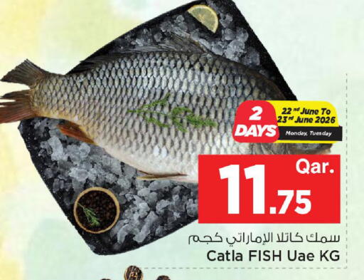 available at مارك & سيف in قطر - الشحانية