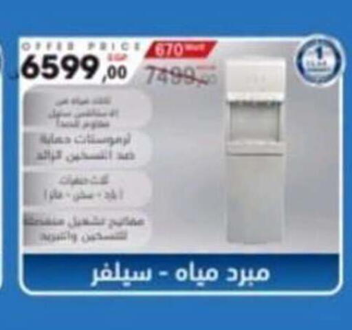 available at المحلاوي ماركت in Egypt - القاهرة