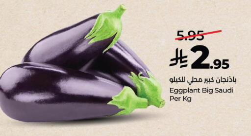 Eggplant from Saudi Arabia available at لولو هايبرماركت in مملكة العربية السعودية, السعودية, سعودية - الخرج