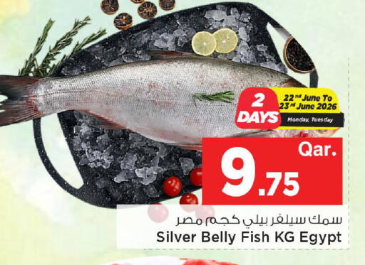 available at مارك & سيف in قطر - الشحانية