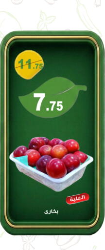 available at Smart Shopper in KSA, Saudi Arabia, Saudi - Khamis Mushait