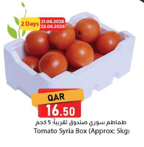 Tomato from Syria available at دانا ماركت in قطر - الشحانية