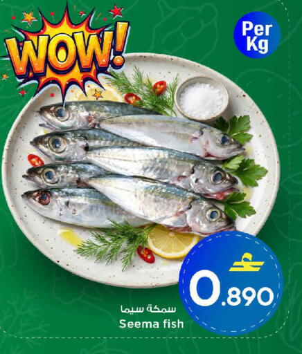 available at مارك & سايف in عُمان - مسقط‎
