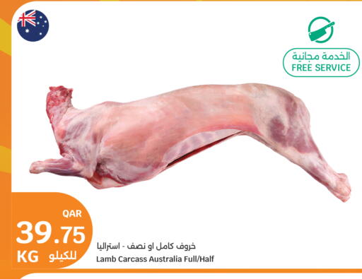 available at سيتي هايبرماركت in قطر - الريان