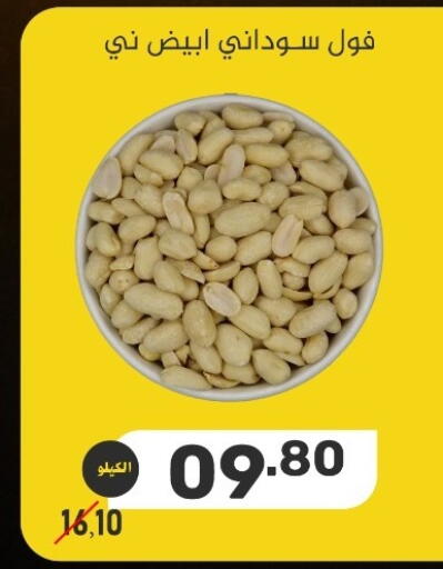 available at بن عفيف in مملكة العربية السعودية, السعودية, سعودية - المنطقة الشرقية