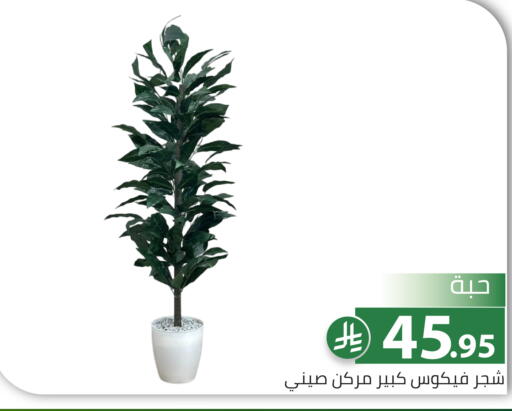 available at تخفيضات العائلة in مملكة العربية السعودية, السعودية, سعودية - الرياض