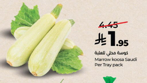 Marrow from Saudi Arabia available at لولو هايبرماركت in مملكة العربية السعودية, السعودية, سعودية - الخرج