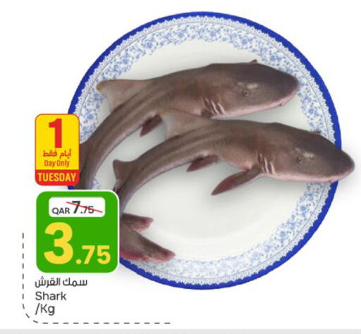 available at باريس هايبرماركت in قطر - الريان