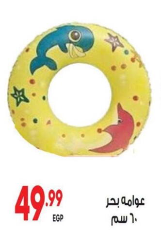 available at المحلاوي ماركت in Egypt - القاهرة