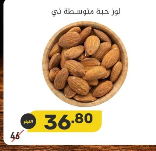 available at بن عفيف in مملكة العربية السعودية, السعودية, سعودية - المنطقة الشرقية