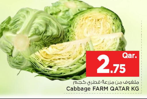 Cabbage from Qatar available at مارك & سيف in قطر - الشحانية