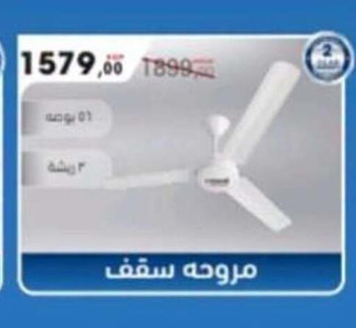 available at المحلاوي ماركت in Egypt - القاهرة