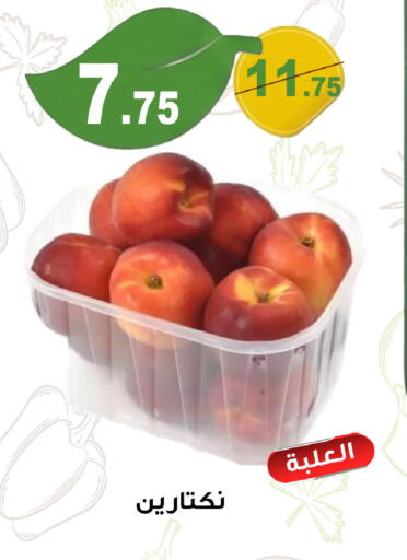 available at Smart Shopper in KSA, Saudi Arabia, Saudi - Khamis Mushait